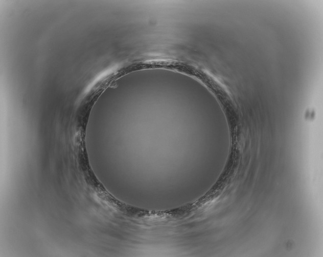 X0000094211351200711021106