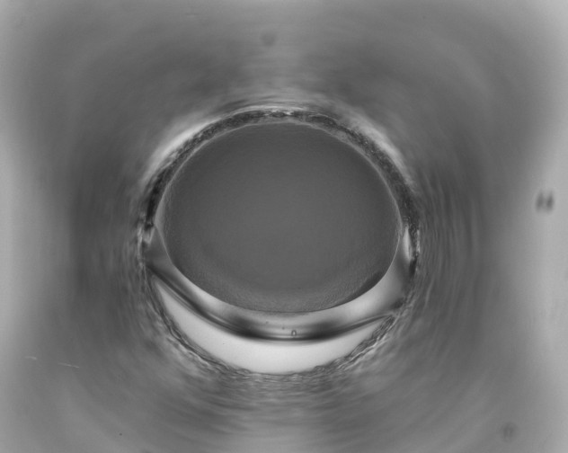 X0000094211352200711021106