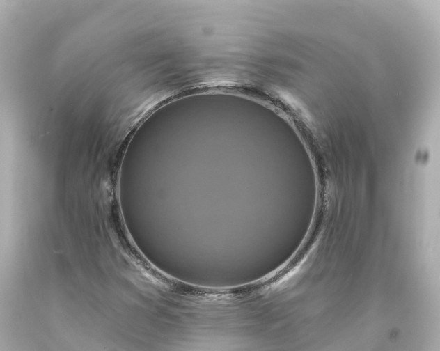 X0000094211353200711021106
