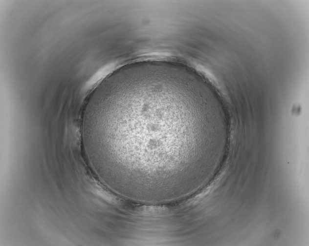 X0000094211354200711021106