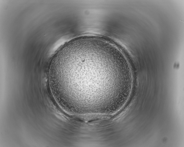 X0000094211355200711021106