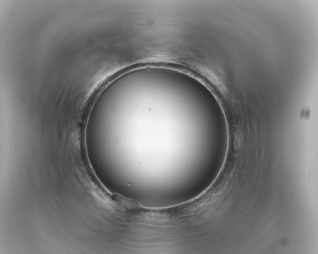 X0000094211356200711021106