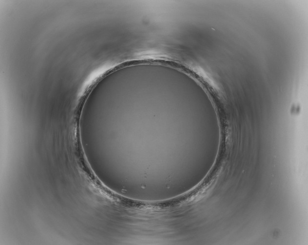 X0000094211358200711021106