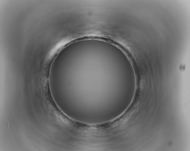 X0000094211359200711021106
