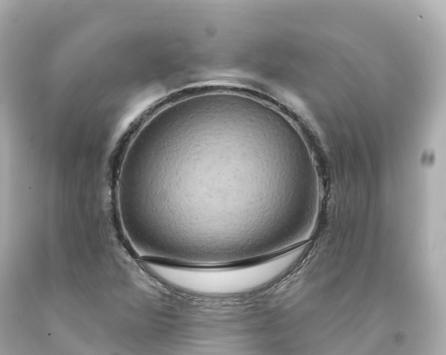X0000094211360200711021106