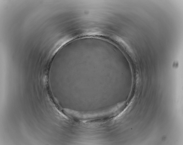 X0000094211361200711021106
