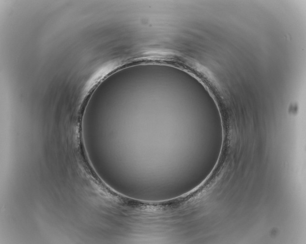 X0000094211362200711021106