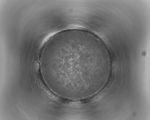 X0000094211363200711021106