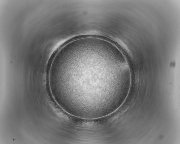 X0000094211364200711021106
