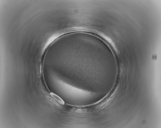 X0000094211365200711021106