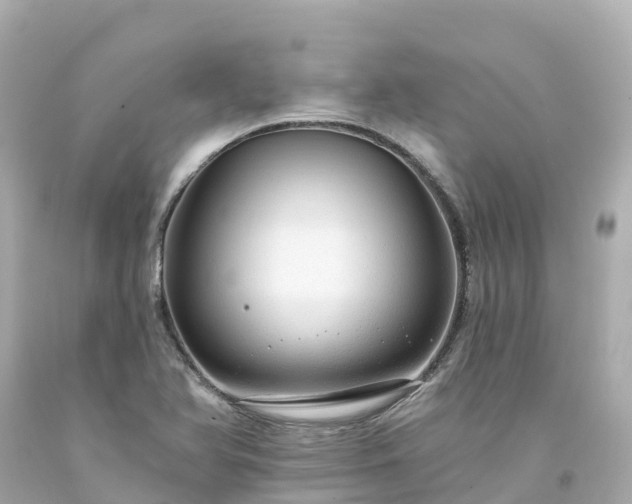 X0000094211366200711021106