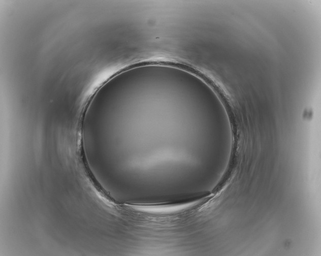 X0000094211367200711021106