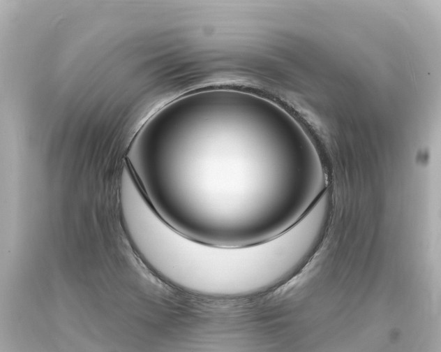 X0000094211369200711021106