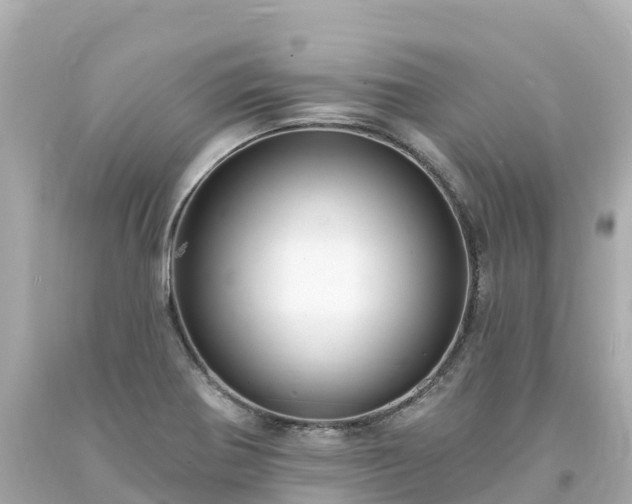 X0000094211370200711021106
