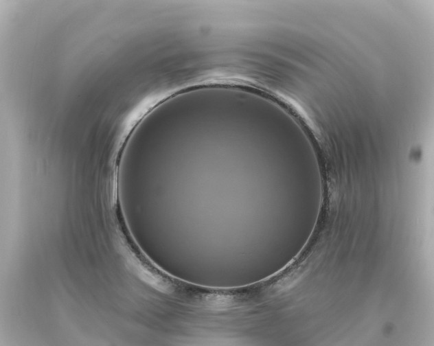 X0000094211371200711021106