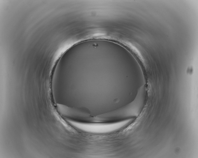 X0000094211373200711021106