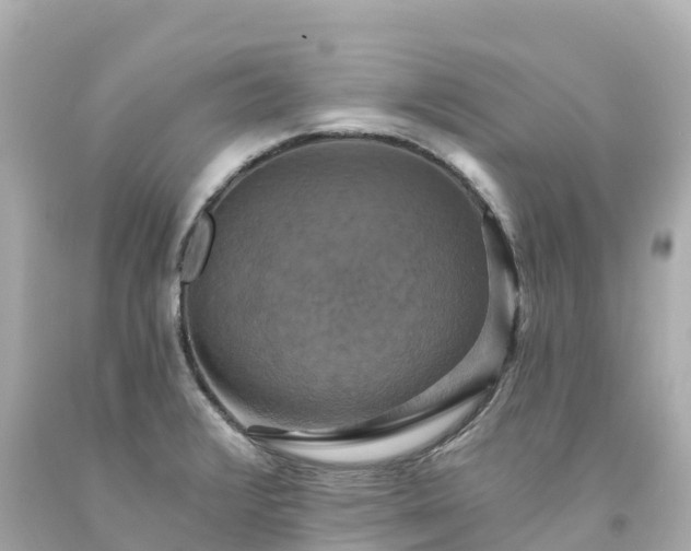 X0000094211376200711021106