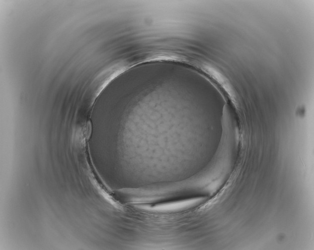 X0000094211377200711021106