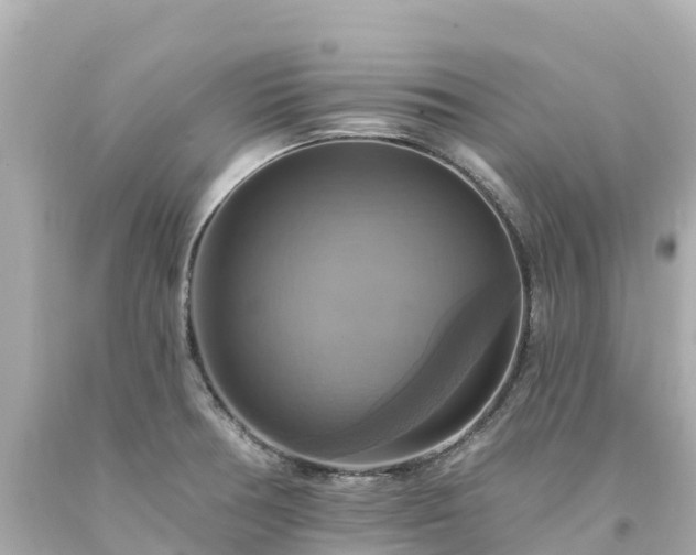 X0000094211378200711021106