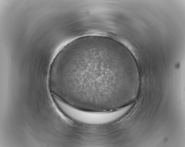 X0000094211379200711021106
