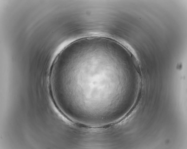 X0000094211381200711021106