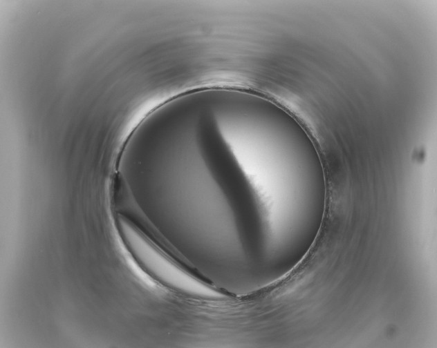 X0000094211383200711021106