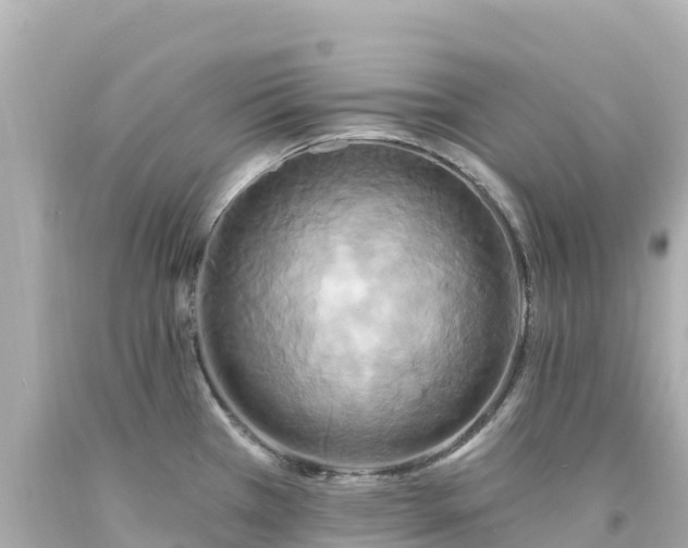 X0000094211385200711021106