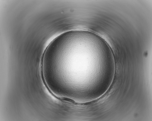 X0000094211387200711021106