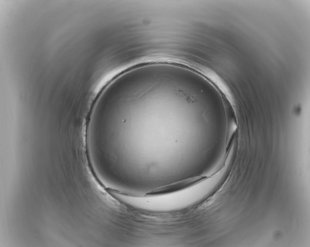 X0000094211388200711021106