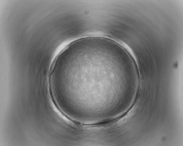 X0000094211389200711021106