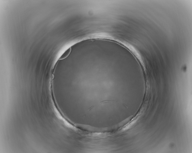 X0000094211390200711021106