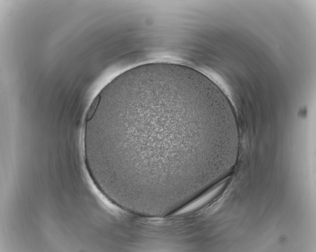X0000094211391200711021106
