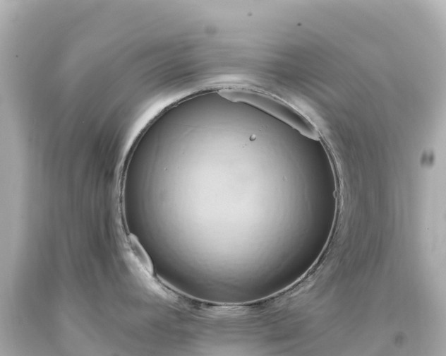 X0000094211392200711021105