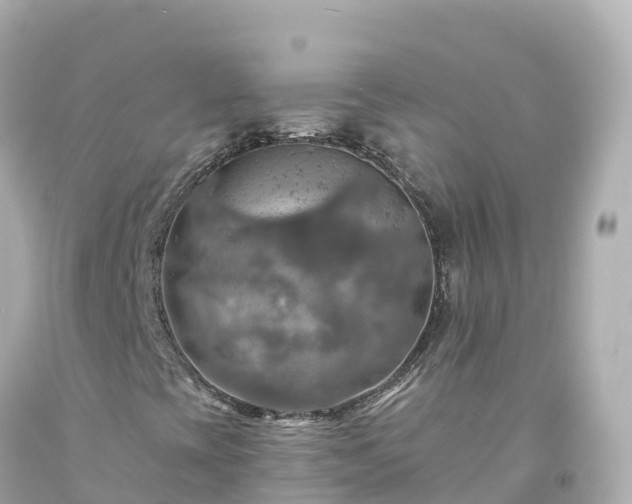 X0000094211393200711021105