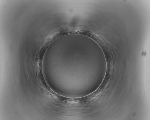 X0000094211394200711021105