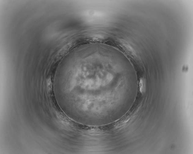 X0000094211395200711021105