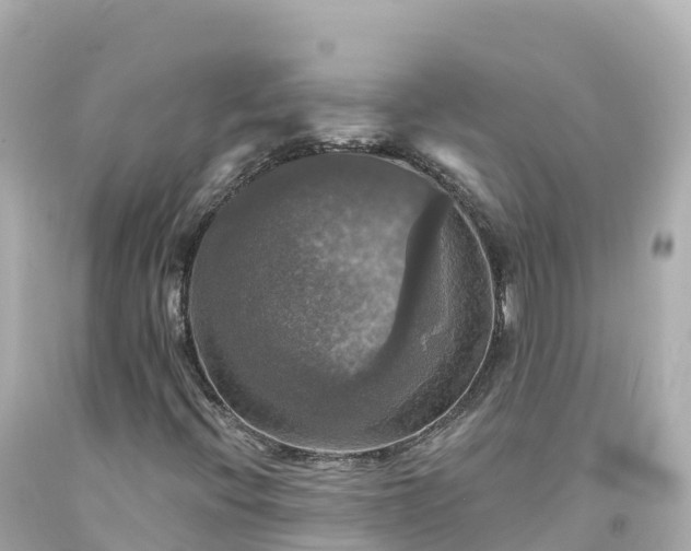 X0000094211396200711021105