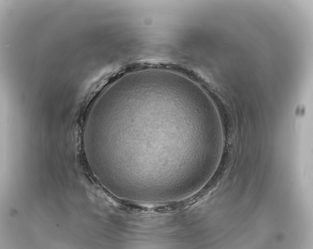 X0000094211398200711021105