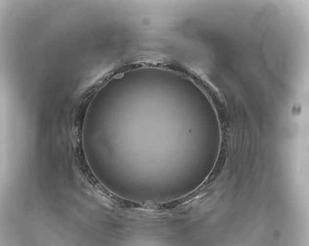 X0000094211399200711021105