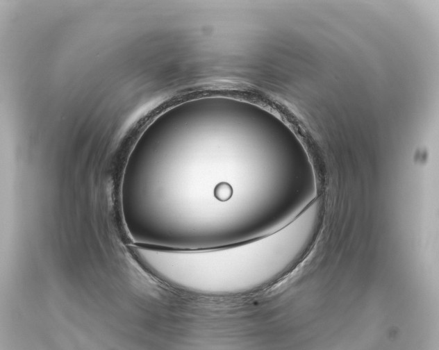 X0000094211402200711021105