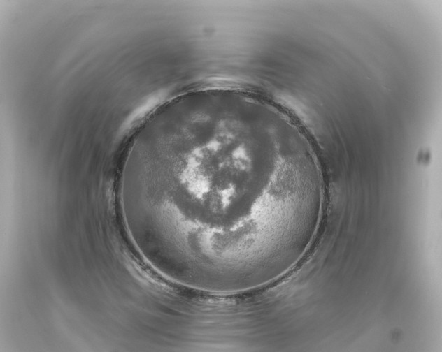 X0000094211403200711021105