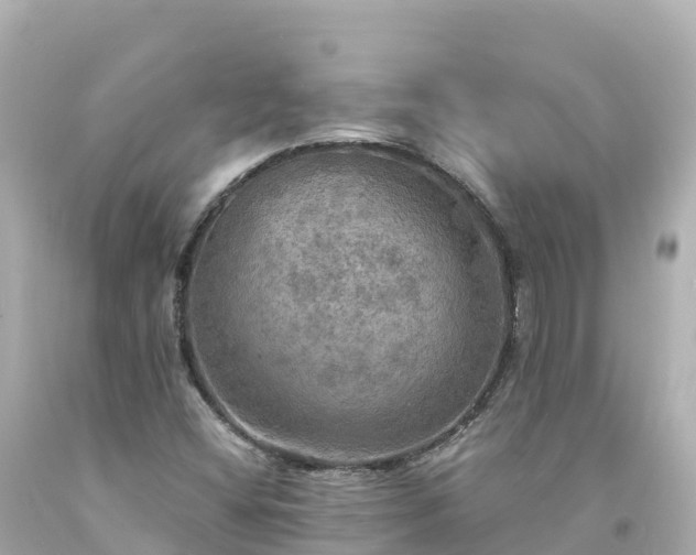X0000094211404200711021105