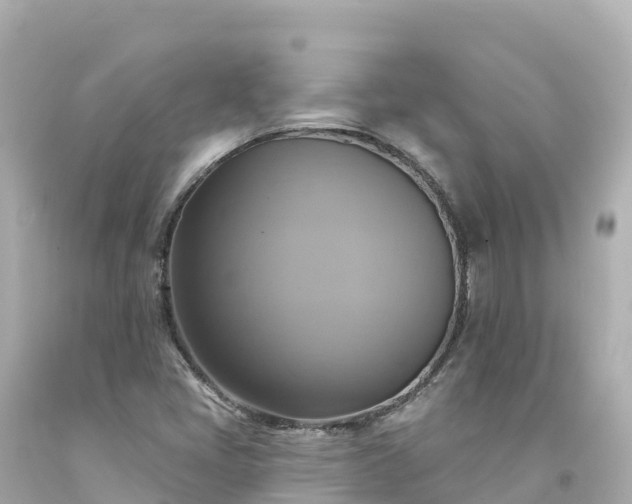 X0000094211405200711021105