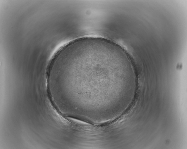 X0000094211408200711021105