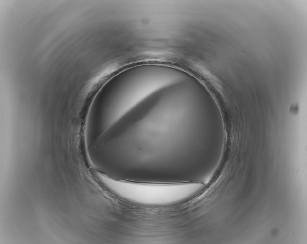 X0000094211411200711021105