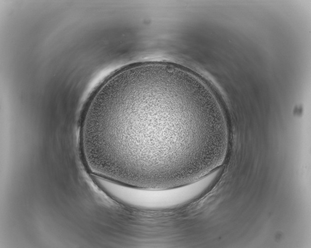 X0000094211416200711021105