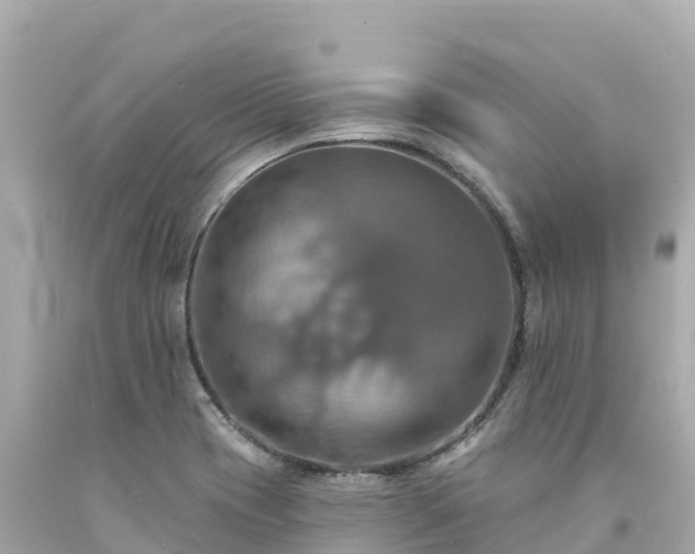 X0000094211417200711021105