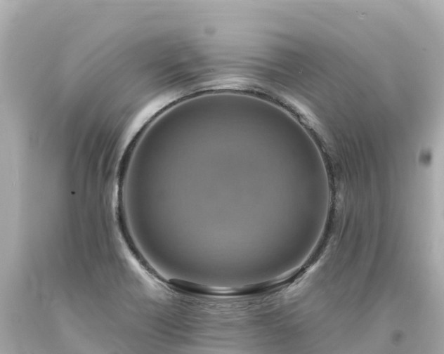 X0000094211418200711021105