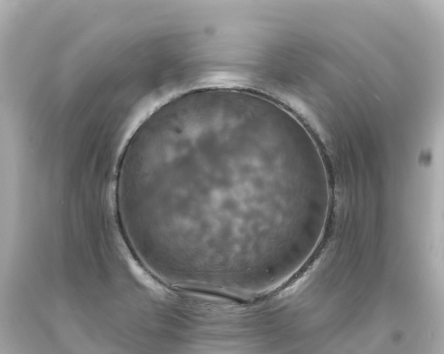 X0000094211421200711021105