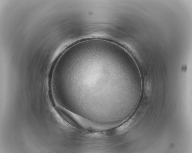 X0000094211422200711021105